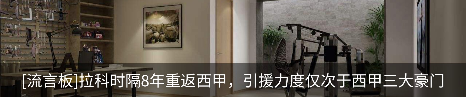 新闻动态